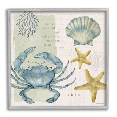 Stupell Industries Sea Casts Its Spell Quote Blue Crab Seashells Framed Wall Art