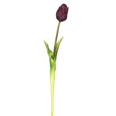 Purple Tulip Stem, 3ct.