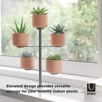 Umbra Titanium Terrapotta Tabletop Planter