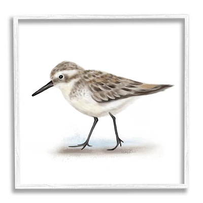 Stupell Industries Nautical Sandpiper Bird on Sand Speckled Feathers in Frame Wall Art