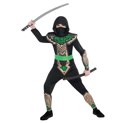 Boys Dragon Slayer Ninja Costume