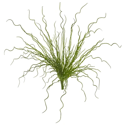 Curly Grass Plant, 6ct.