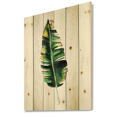 Designart - Single Banana Leaf