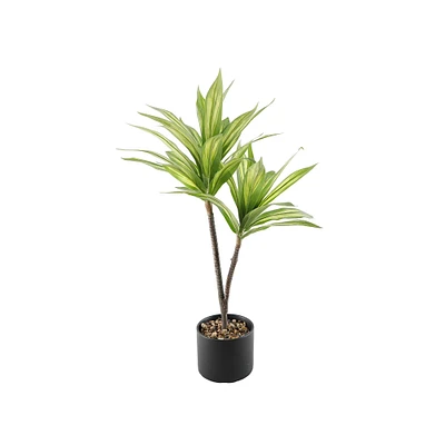 Flora Bunda® 3ft. Palm in Black Ceramic Planter