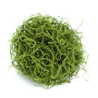 SuperMoss® Preserved Spanish Moss, Grass Green