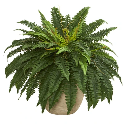 22" Boston Fern In Sandstone Planter