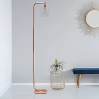 Simple Designs™ Iron Lantern Floor Lamp with Glass Shade