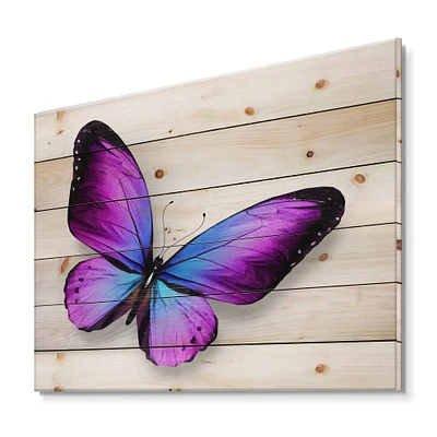 Designart - Violet and Blue Butterfly