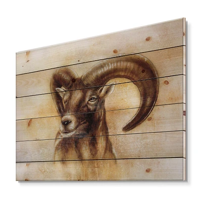 Designart - Portrait of Wild Ram With Mighty Horns I