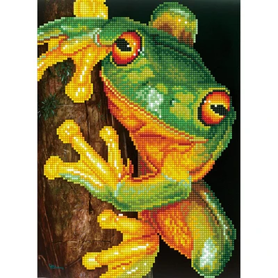 Diamond Dotz® Intermediate Green Tree Frog with Frame Diamond Painting Kit