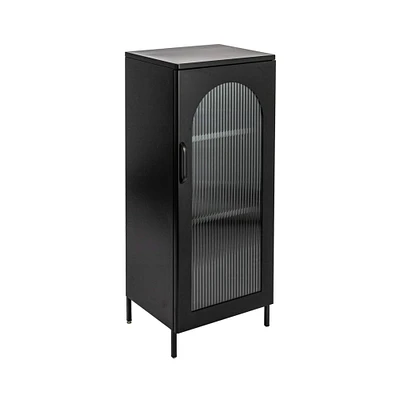 Metal Cabinet with Glass Door