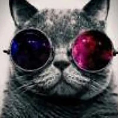 Sparkly Selections Cat in Sunglasses Diamond Art Kit, Round Diamonds