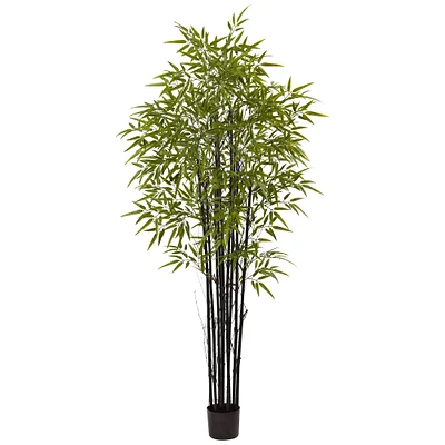 6ft. Potted Black Bamboo Tree