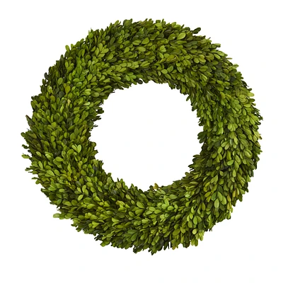 24" Green Preserved Boxwood Wreath