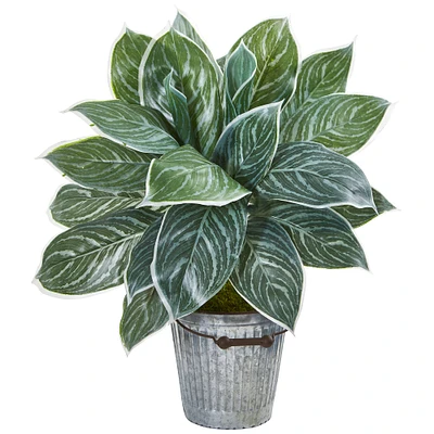 24" Chinese Evergreen Plant in Decorative Bucket