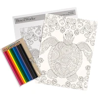 PencilWorks™ Colorful Turtle Color by Number Kit