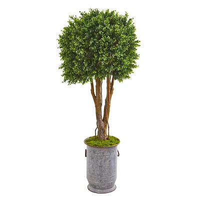 4.5ft. Boxwood Topiary Tree in Planter