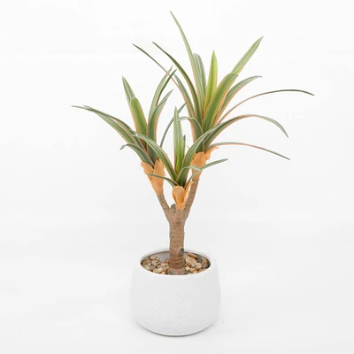 Flora Bunda® 17" Yucca Plant in White Ceramic Planter