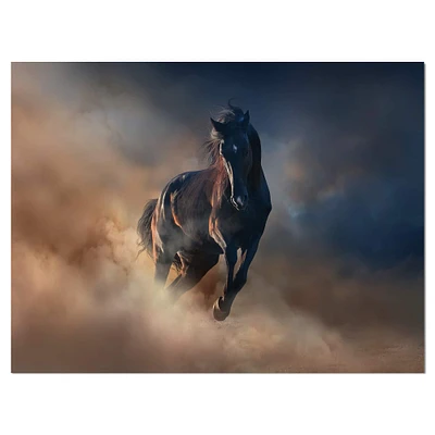 Designart - Black stallion horse - Animals photographyPrint on Wrapped Canvas