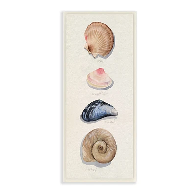 Stupell Industries Nautical Sea Shells over Soft Beige Sand, 7" x 17"