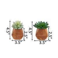 Flora Bunda® 4.5" Succulent Plant in Wood Pot, 2ct.
