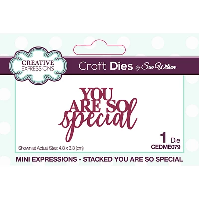 Creative Expressions Craft Dies by Sue Wilson You Are So Special Mini Expressions