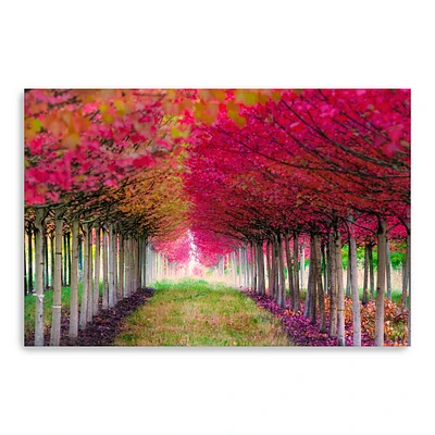 Forest Magic Canvas Giclee