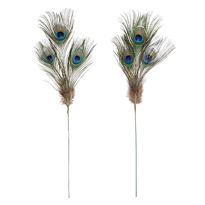 Peacock Feather Picks by Ashland®