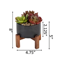 Flora Bunda® 8" Succulent Mix in Pot with Stand