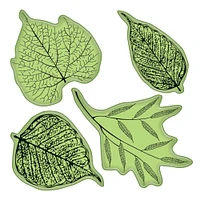 Inkadinkado® Stamping Gear Fossil Leaves Cling Stamps