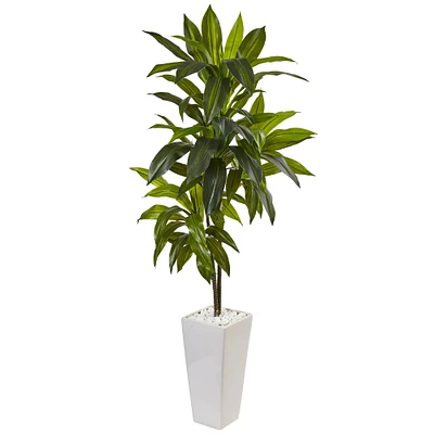 3ft. Dracaena in White Tower Planter