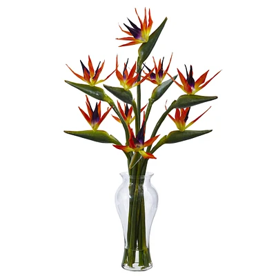 Bird of Paradise in Vase