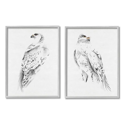 Stupell Industries White Hawk Winter Birds Soft Speckled Feathers Framed Wall Art