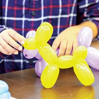 Schylling How To Make Balloon Animals Kit