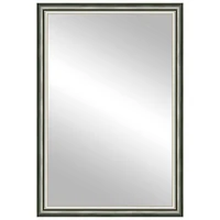 Timeless Frames® Cassia Champagne 24" x 37" Framed Mirror