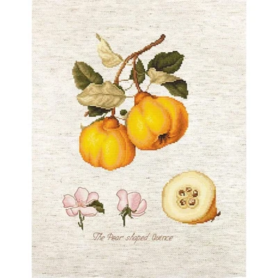 Luca-s The Pear Shaped Quince Counted Cross Stitch Kit