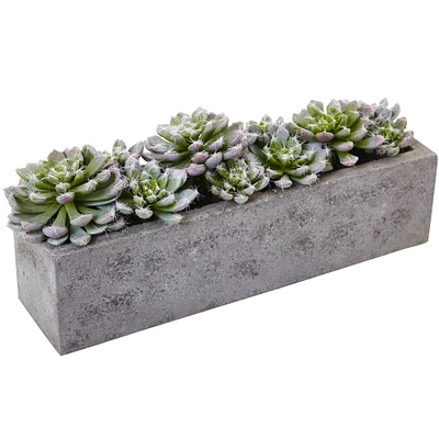 13.5" Succulent Garden with Textured Concrete Planter