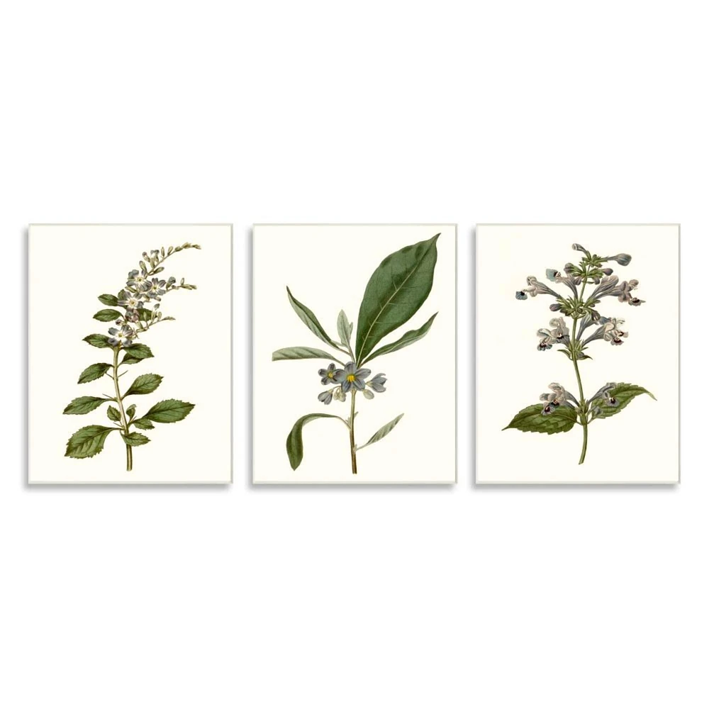 Stupell Industries Minimal Blue Botanical Study Over Neutral Beige,10" x 15"