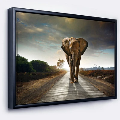 Designart - Single Walking Elephant - Photography Framed Canvas Art Print