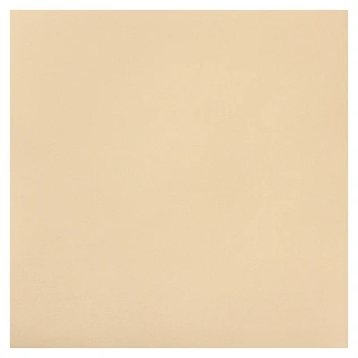 Ivory Starry Cardstock Paper by Recollections®, 12" x 12"