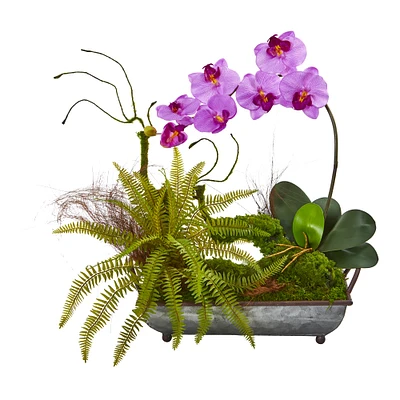 20" Phalaenopsis Orchid & Fern Arrangement in Metal Tray