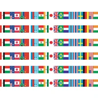 Edupress™ International Flags Spotlight Border™, 210ft.