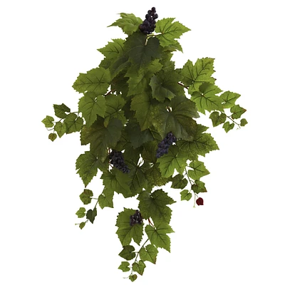 Grape Leaf Hanging Plant, 2ct.
