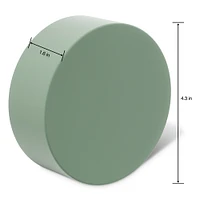FloraCraft® DryFōM Disc Green