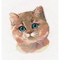 Oven British Shorthair Cross Stitch Kit