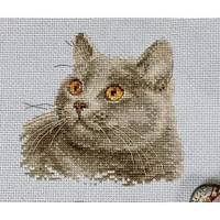 Alisa British Cat Cross Stitch Kit