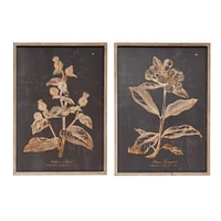 Wood Wall Décor with Botanical Print Set