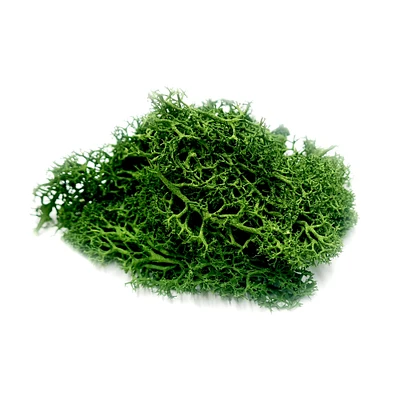 JTT Scenery Products Green Landscape Lichen