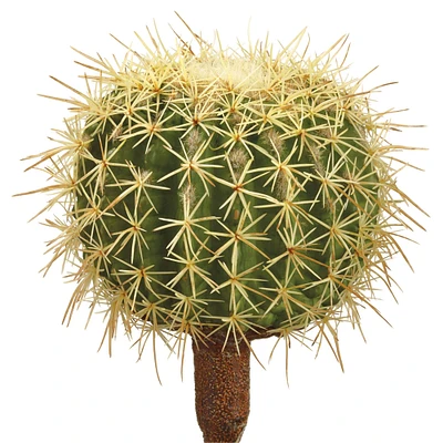 Barrel Cactus Pick 