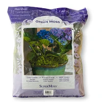 SuperMoss® Preserved Green Moss